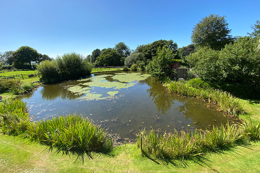 fishing lake