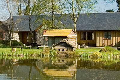 ash holiday cottage - 2 bedrooms, sleeps 4 + cot